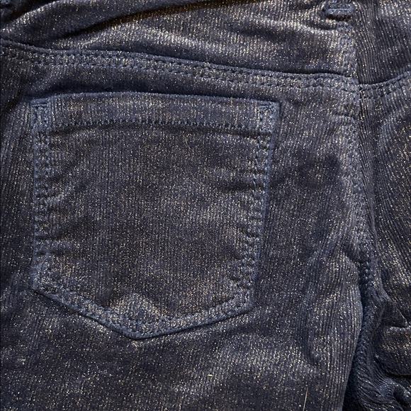 Gymboree Navy Skinny Pants with Gold Accents - Picture 3 of 6